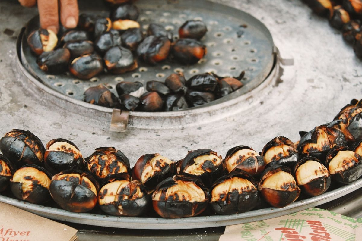 Le Prime Castagne di Fine Settembre: la Raccolta nel Casentino, la Vera Caldarrosta e i Tre Errori che la Rovinano