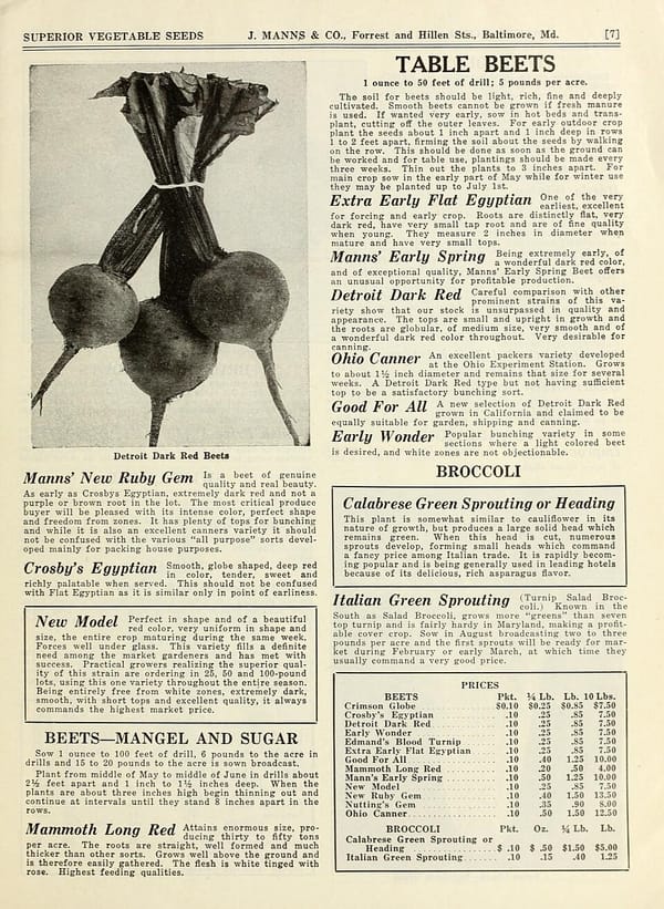 Insalata di mare: fresca, leggera e perfetta per l'estate